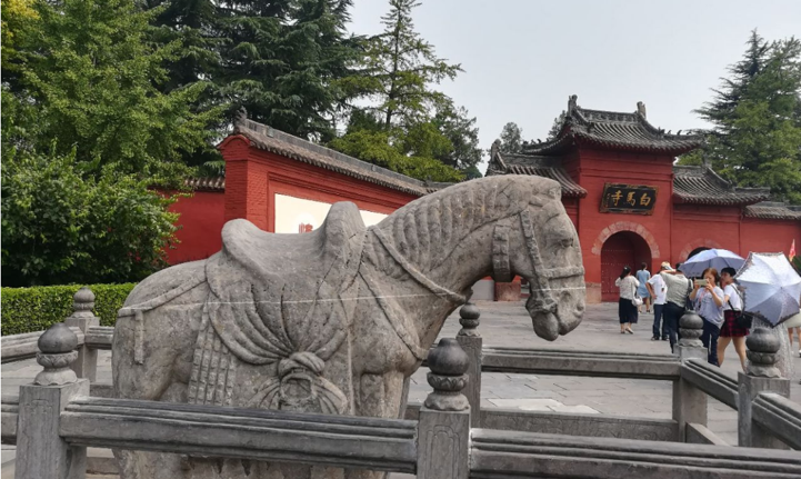 &#70;&#71;&#30005;&#23376;&#40;&#20013;&#22269;&#28216;&#41;&#23448;&#26041;&#32593;&#31449;