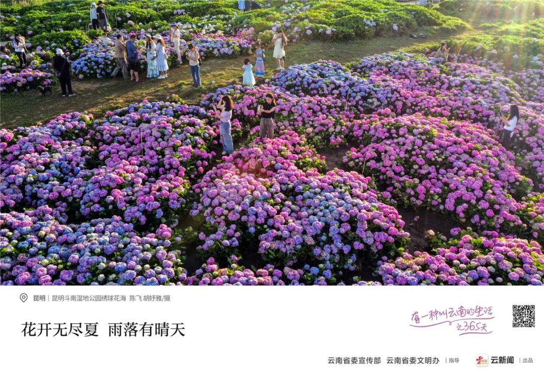 &#70;&#71;&#30005;&#23376;&#40;&#20013;&#22269;&#28216;&#41;&#23448;&#26041;&#32593;&#31449;